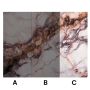 Panel Ścienny XXL Breccia Miedziany Połysk 120 x 280 cm 3 mm (C)