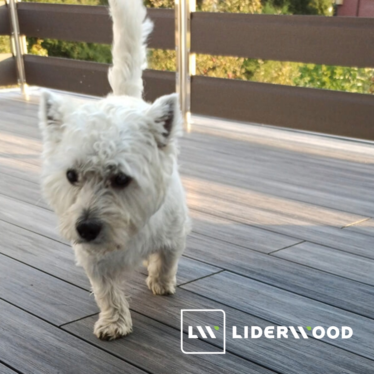 Deski tarasowe – wszystko, co warto wiedzieć