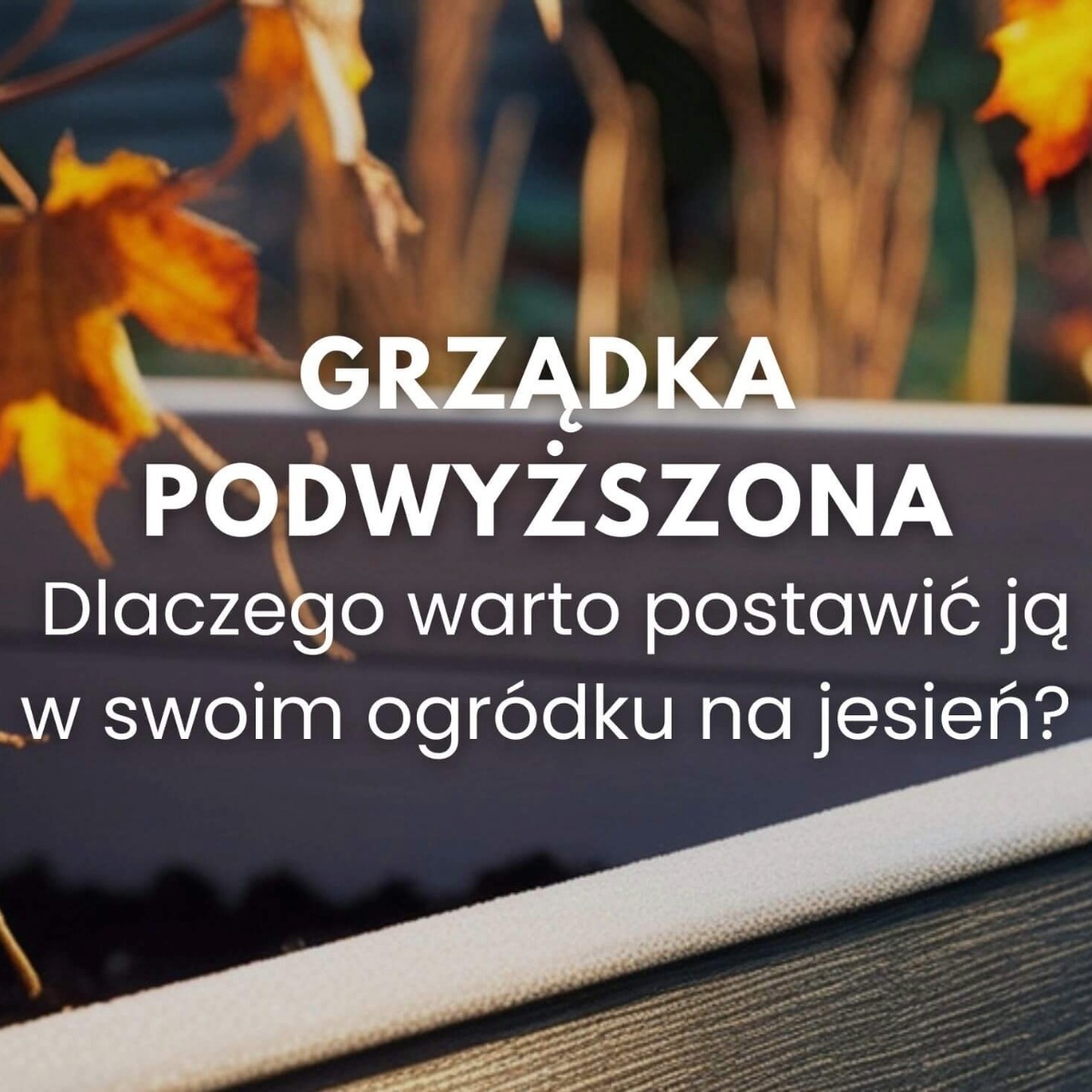 Jesienny czas na kreatywne projekty ogrodowe – wykorzystaj regulowany łącznik z kotwą do grządek podwyższonych