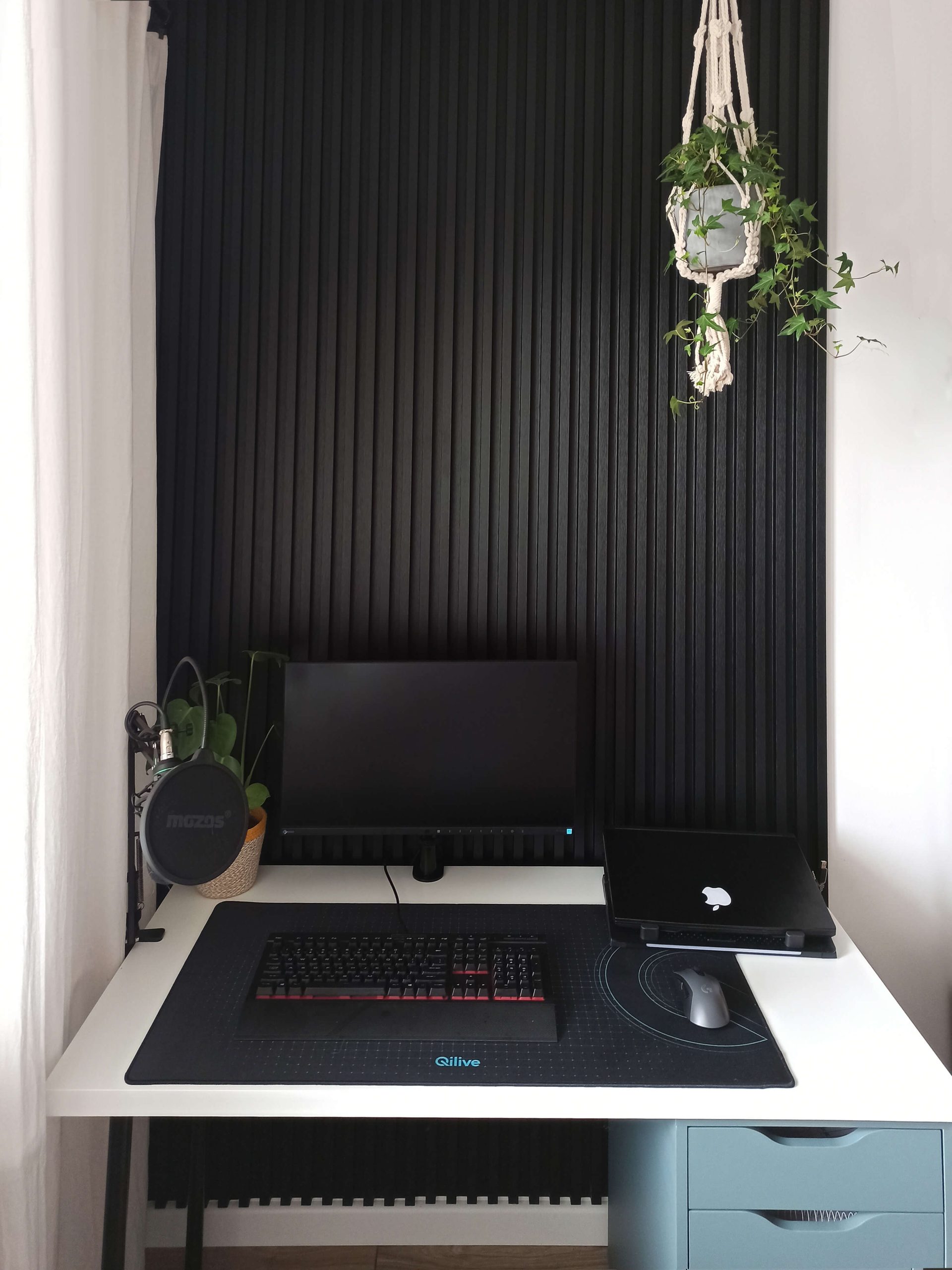 Czarne lamele ścienne na białej ścianie – Lamele Ścienne Satyna Czarny