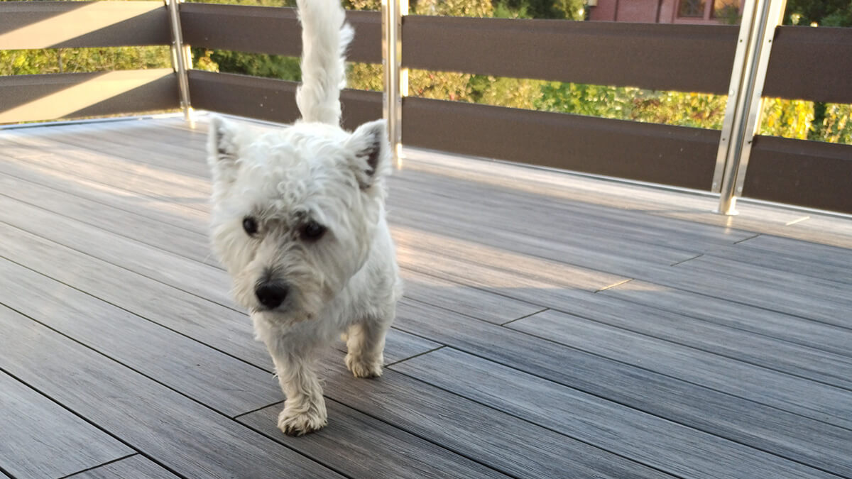 Balkon i schody, szara deska kompozytowa Premium