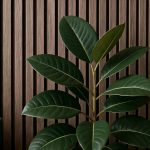 wizualizacja Lamele ścienne akustyczne na filcu Dąb Rustykalny 2,1 x 30,5 cm