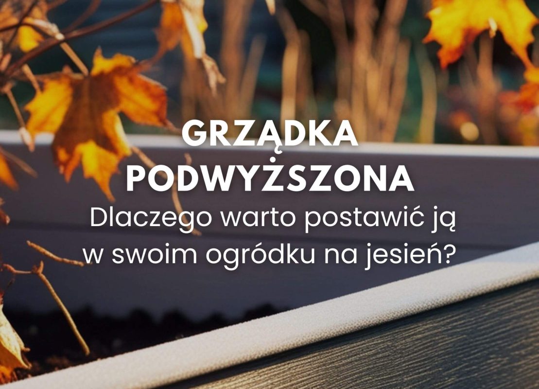 Grządka podwyższona dlaczego warto postawić ją w swoim ogródku jesienią