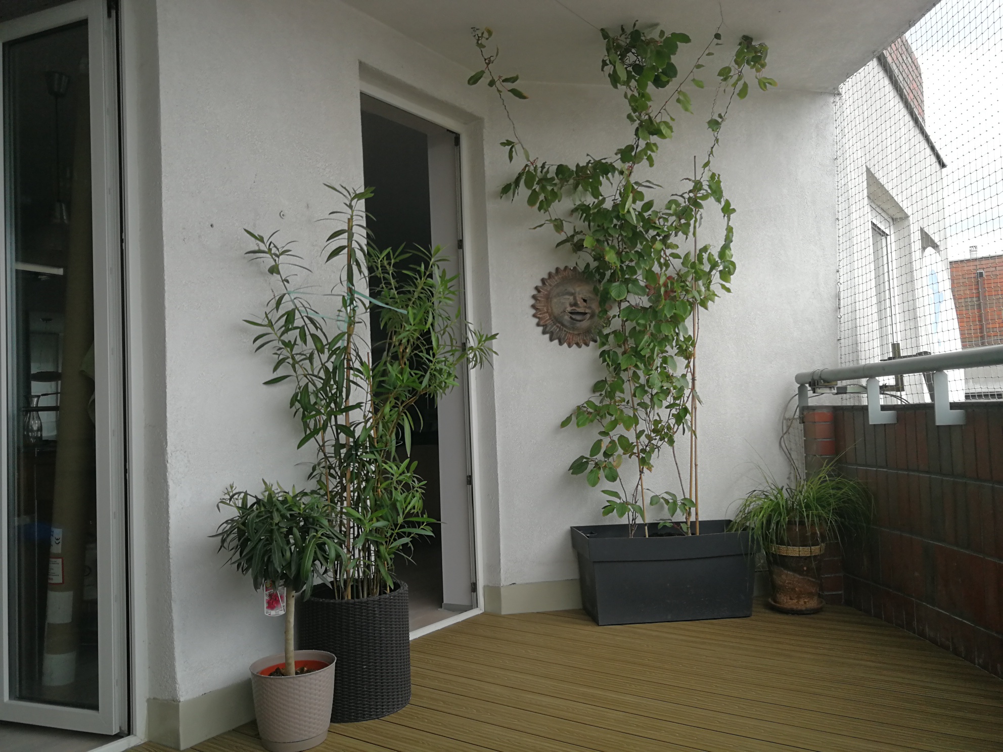 balkon miodowy teak 3d